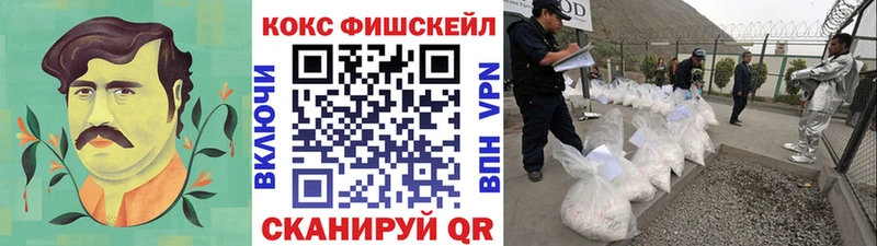 COCAIN Fish Scale  закладки  маркетплейс наркотические препараты  Долгопрудный 