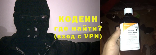 твердый Иннополис