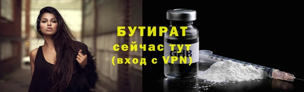 твердый Иннополис