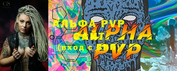 твердый Иннополис