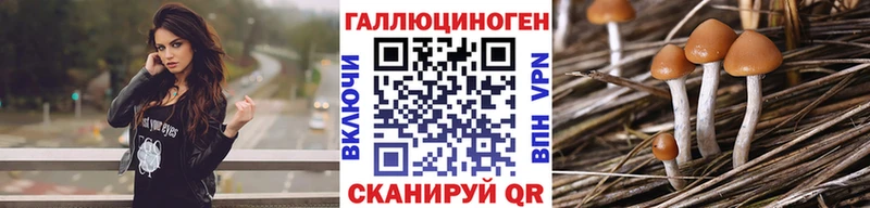Галлюциногенные грибы мицелий mega зеркало Долгопрудный