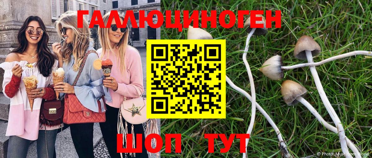 Галлюциногенные грибы мухоморы  Псилоцибиновые грибы Psilocybe  Вход с VPN  Долгопрудный 